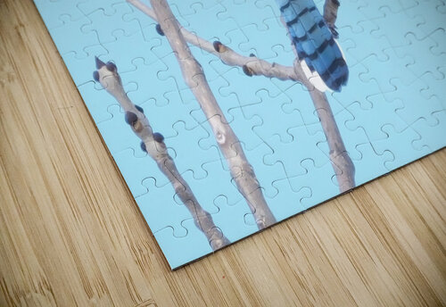 Bird Photography    Arnie Naiman puzzle