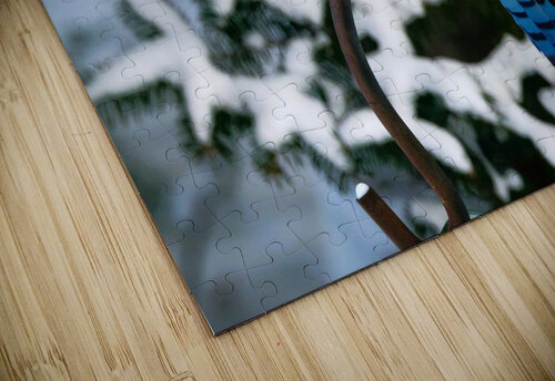 Bird Photography    Arnie Naiman puzzle
