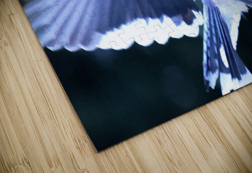 Bird Photography    Arnie Naiman puzzle