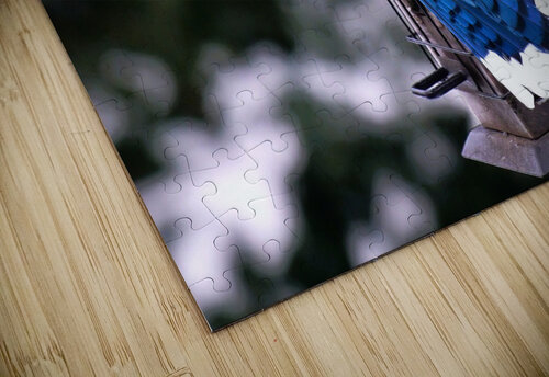 Bird Photography    Arnie Naiman puzzle