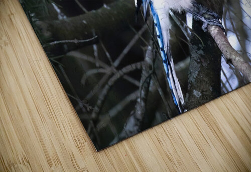 Bird Photography    Arnie Naiman puzzle