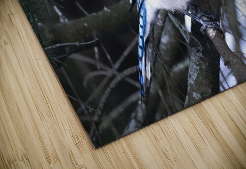 Bird Photography    Arnie Naiman puzzle
