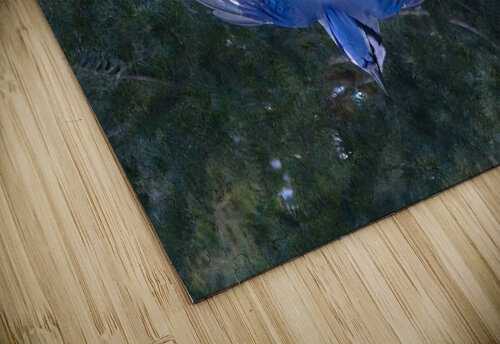 Bird Photography    Arnie Naiman puzzle