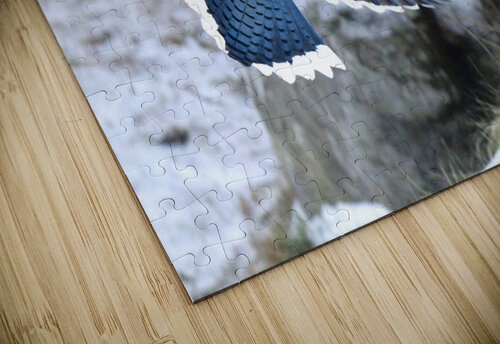 Bird Photography    Arnie Naiman puzzle