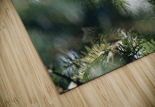 Bird Photography    Arnie Naiman puzzle