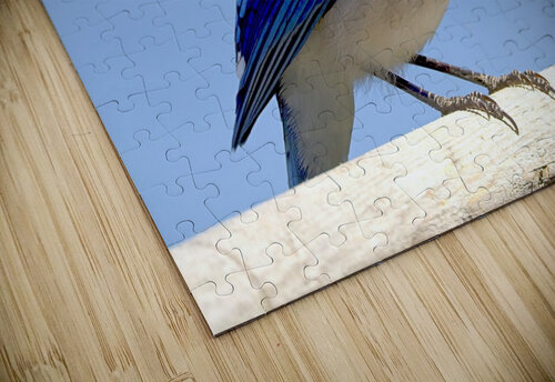 Bird Photography    Arnie Naiman puzzle