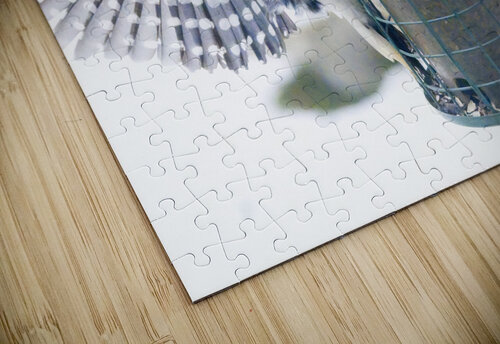 Bird Photography    Arnie Naiman puzzle
