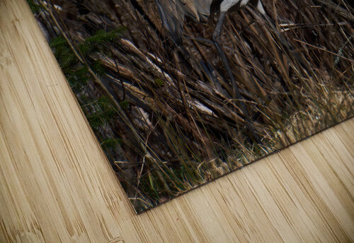 Bird Photography    Arnie Naiman puzzle