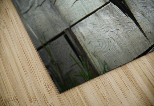 Bird Photography    Arnie Naiman puzzle