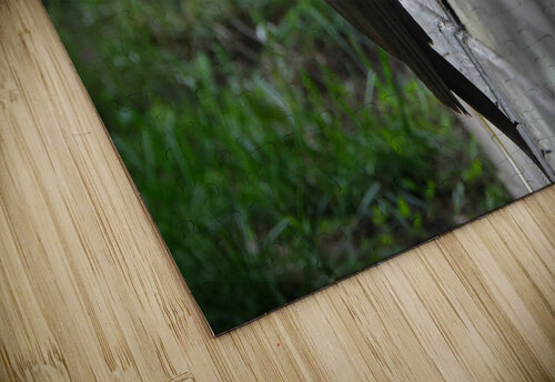 Bird Photography    Arnie Naiman puzzle