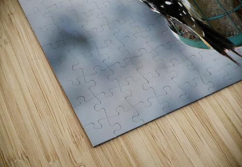 Bird Photography    Arnie Naiman puzzle