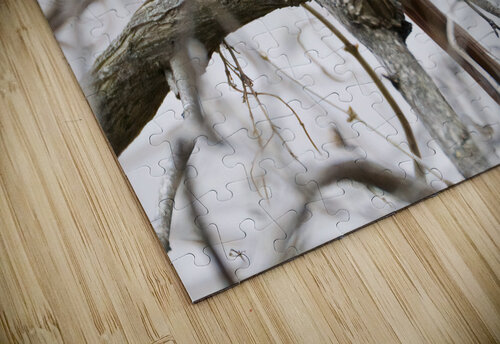 Bird Photography    Arnie Naiman puzzle