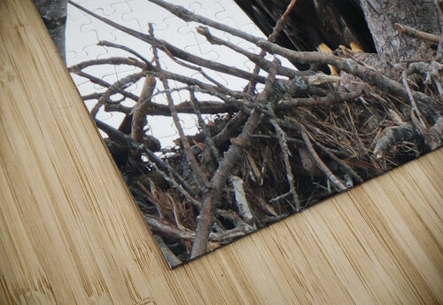 Bird Photography    Arnie Naiman puzzle