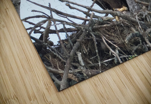 Bird Photography    Arnie Naiman puzzle