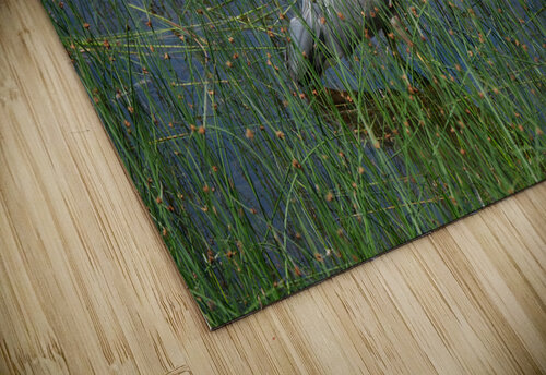Bird Photography    Arnie Naiman puzzle