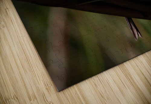 Bird Photography    Arnie Naiman puzzle