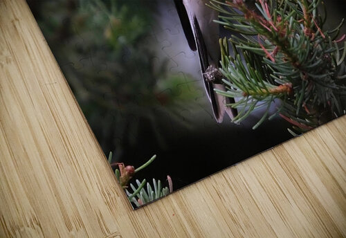 Bird Photography    Arnie Naiman puzzle