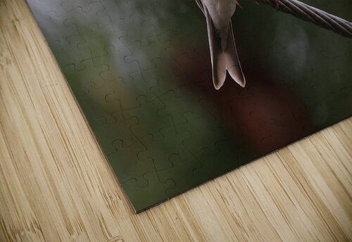 Bird Photography    Arnie Naiman puzzle