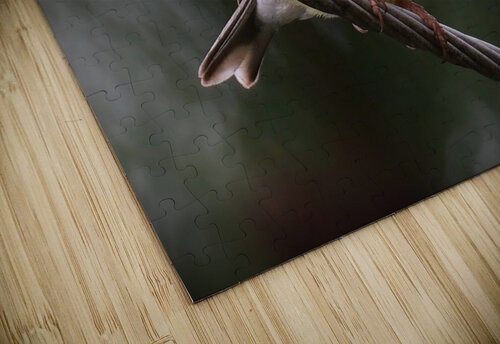 Bird Photography    Arnie Naiman puzzle