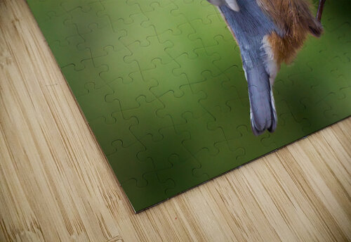 Bird Photography    Arnie Naiman puzzle