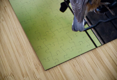 Bird Photography    Arnie Naiman puzzle