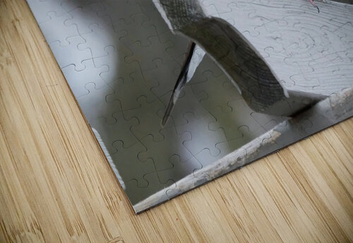 Bird Photography    Arnie Naiman puzzle