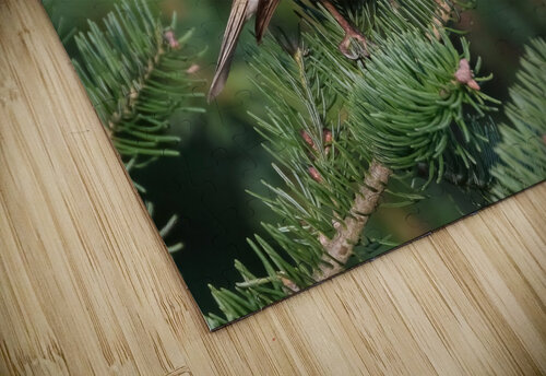 Bird Photography    Arnie Naiman puzzle