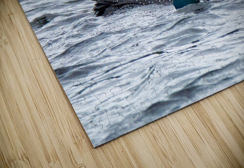 Bird Photography    Arnie Naiman puzzle