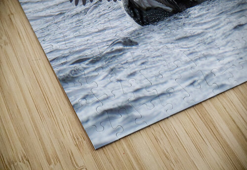 Bird Photography    Arnie Naiman puzzle