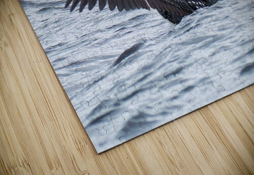 Bird Photography    Arnie Naiman puzzle