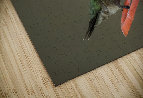 Bird Photography    Arnie Naiman puzzle