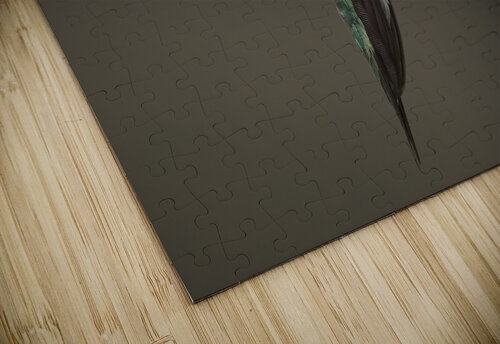 Bird Photography    Arnie Naiman puzzle