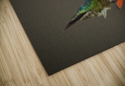 Bird Photography    Arnie Naiman puzzle