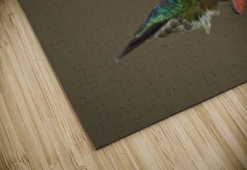 Bird Photography    Arnie Naiman puzzle