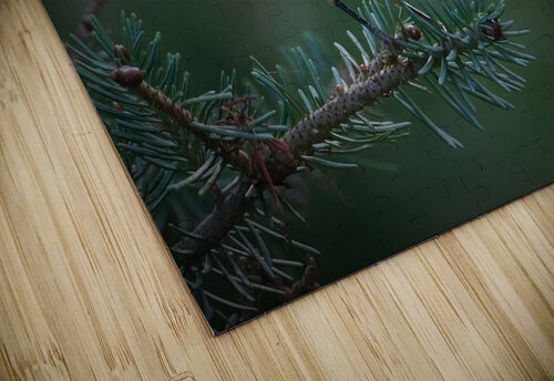 Bird Photography    Arnie Naiman puzzle