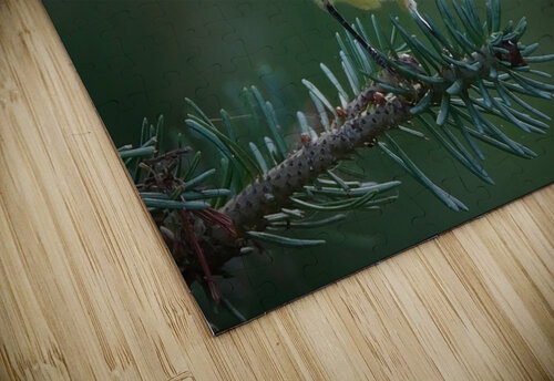 Bird Photography    Arnie Naiman puzzle