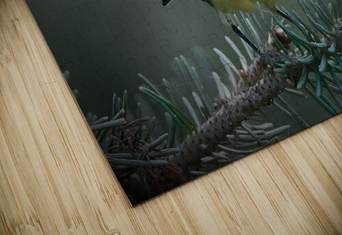 Bird Photography    Arnie Naiman puzzle