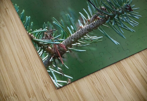 Bird Photography    Arnie Naiman puzzle