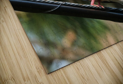 Bird Photography    Arnie Naiman puzzle