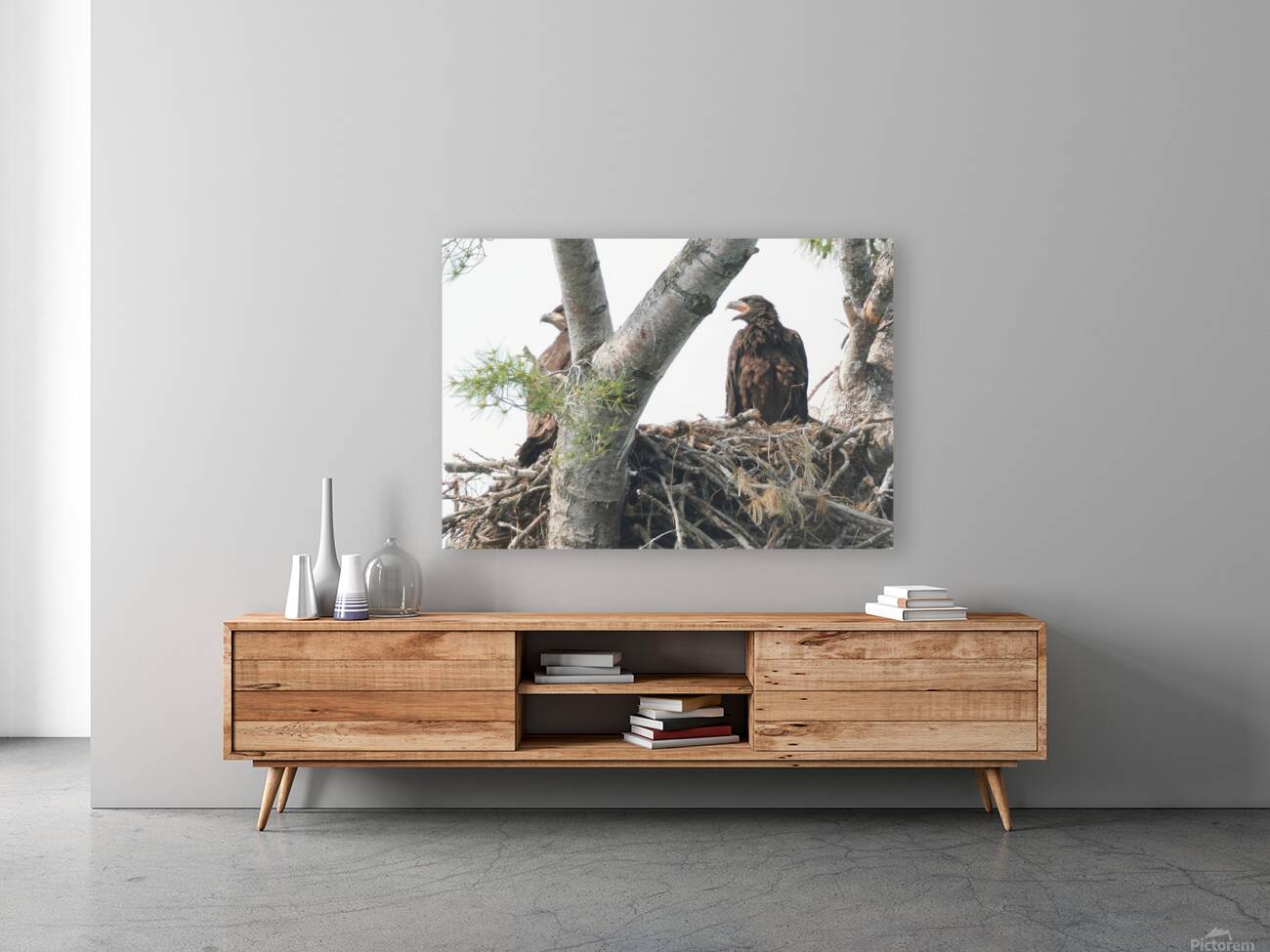 Bird Photography  Reproduction
