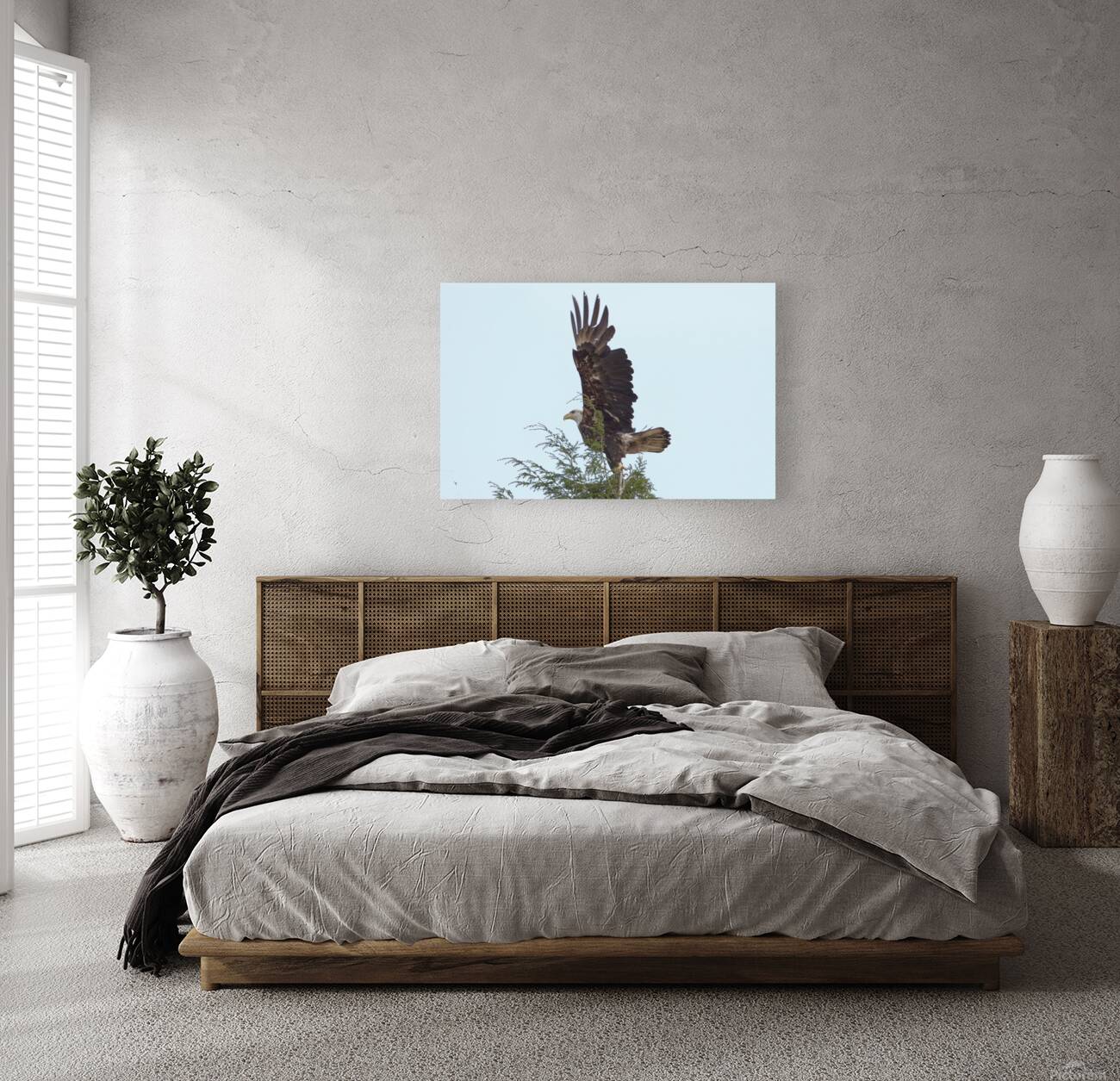 Bird Photography  Reproduction