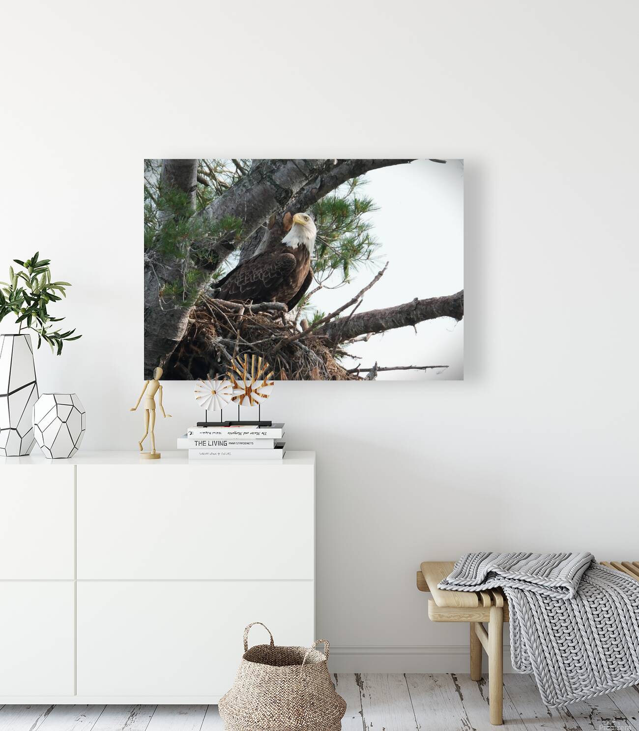 Bird Photography  Reproduction