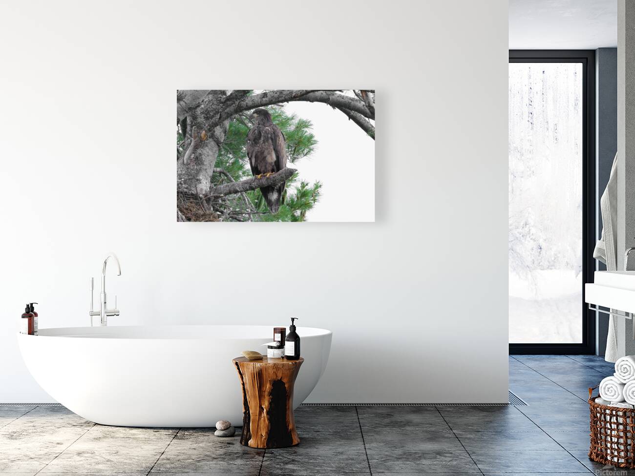 Bird Photography  Reproduction