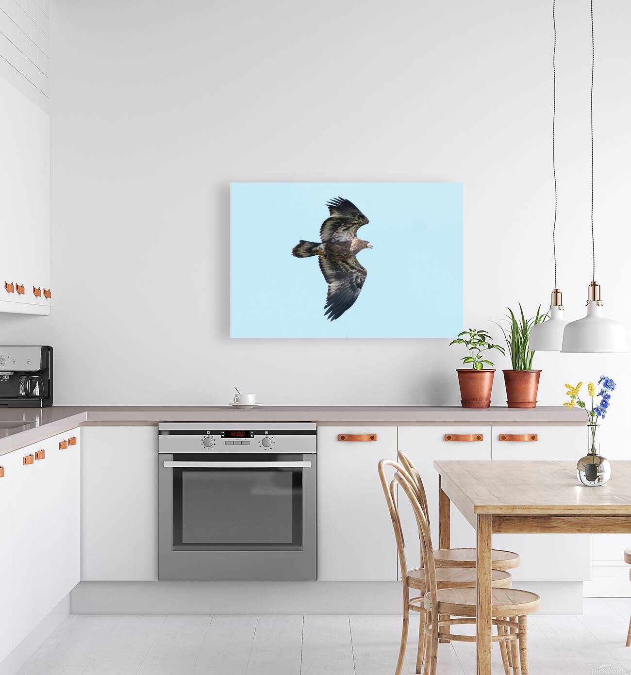 Bird Photography  Reproduction