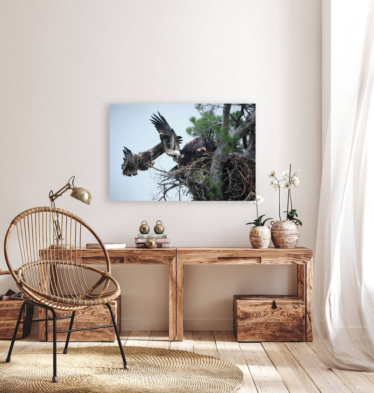 Bird Photography  Reproduction