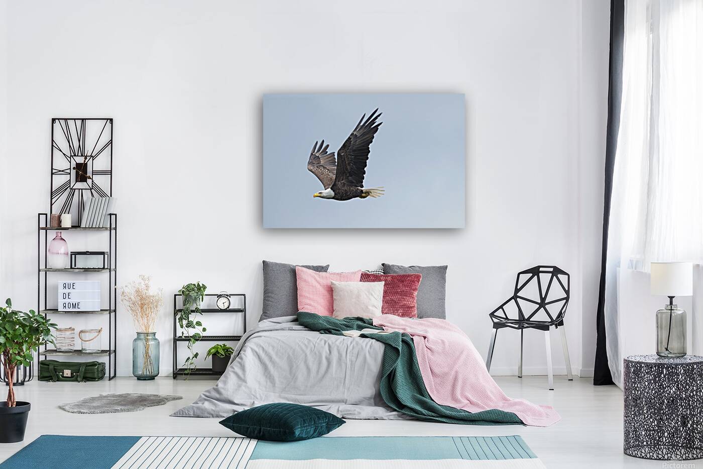Bird Photography  Reproduction
