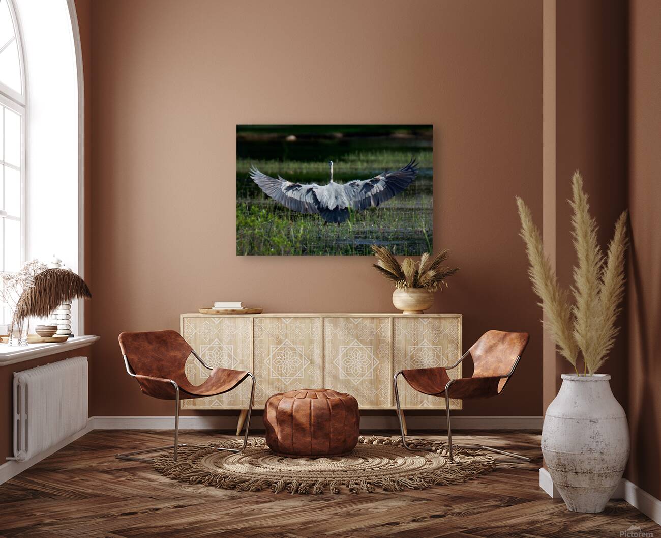 Bird Photography  Reproduction