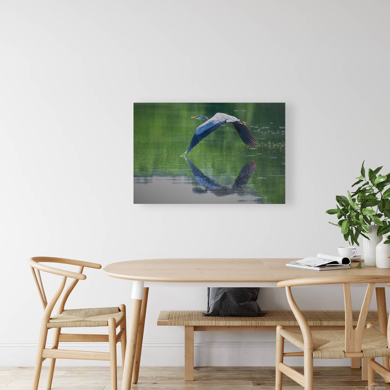 Bird Photography  Reproduction