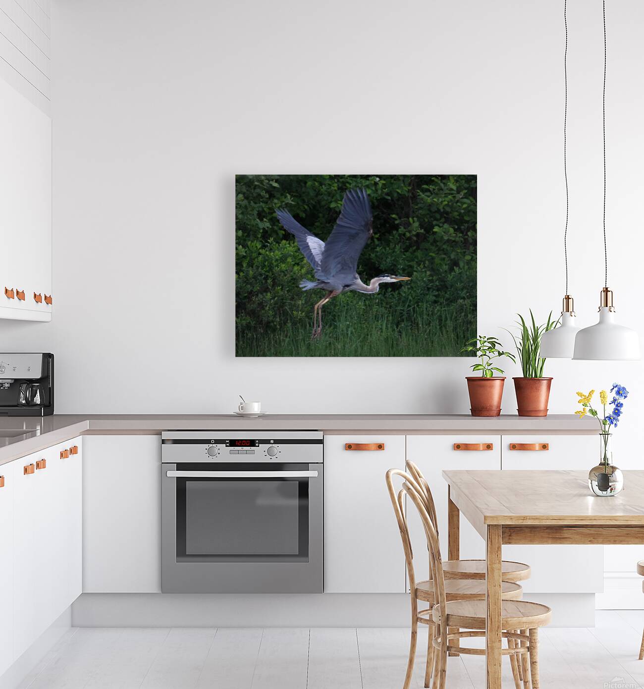 Bird Photography  Reproduction