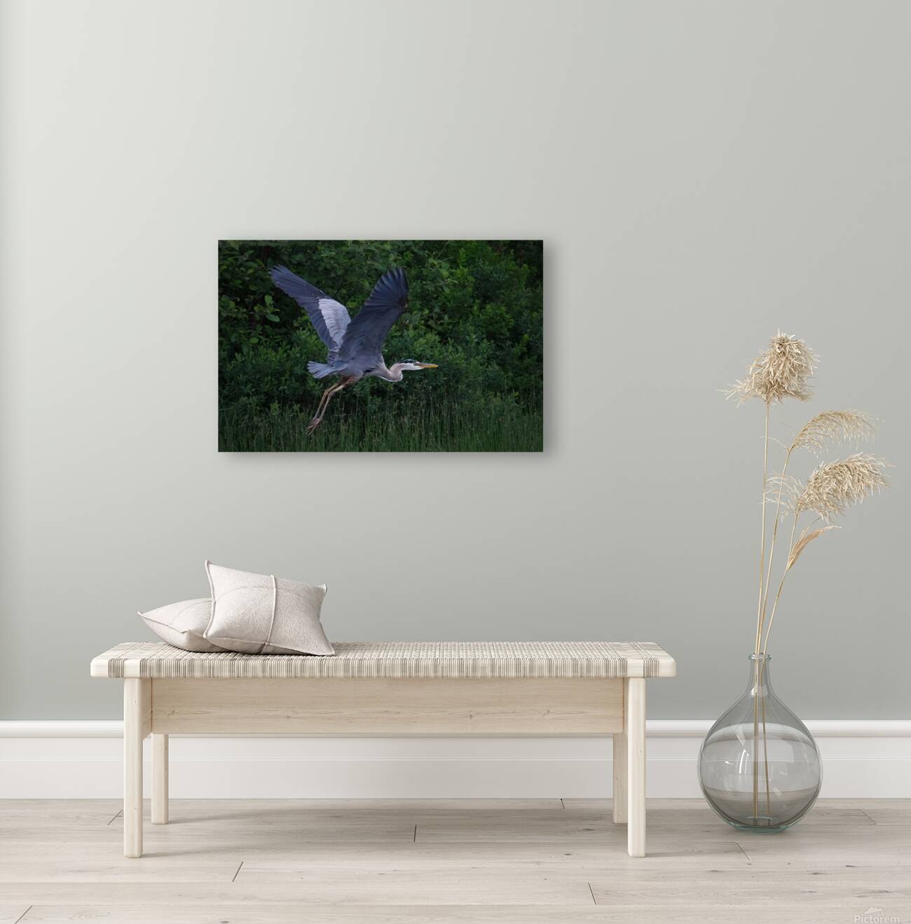 Bird Photography  Reproduction